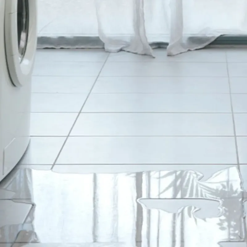 Appliance Leak Cleanup in Goldsboro, NC