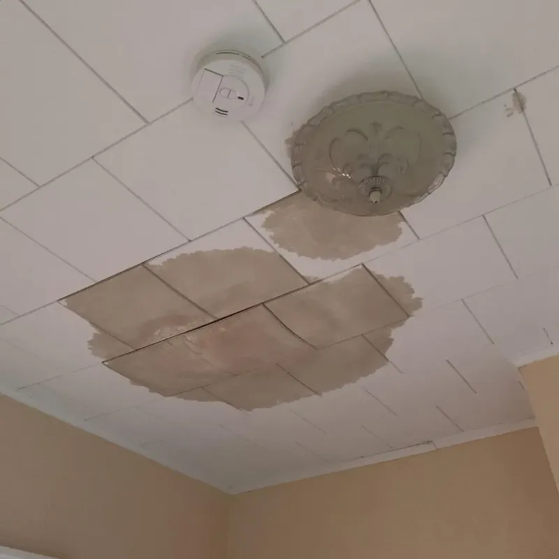Ceiling Water Damage Repair in Goldsboro, NC
