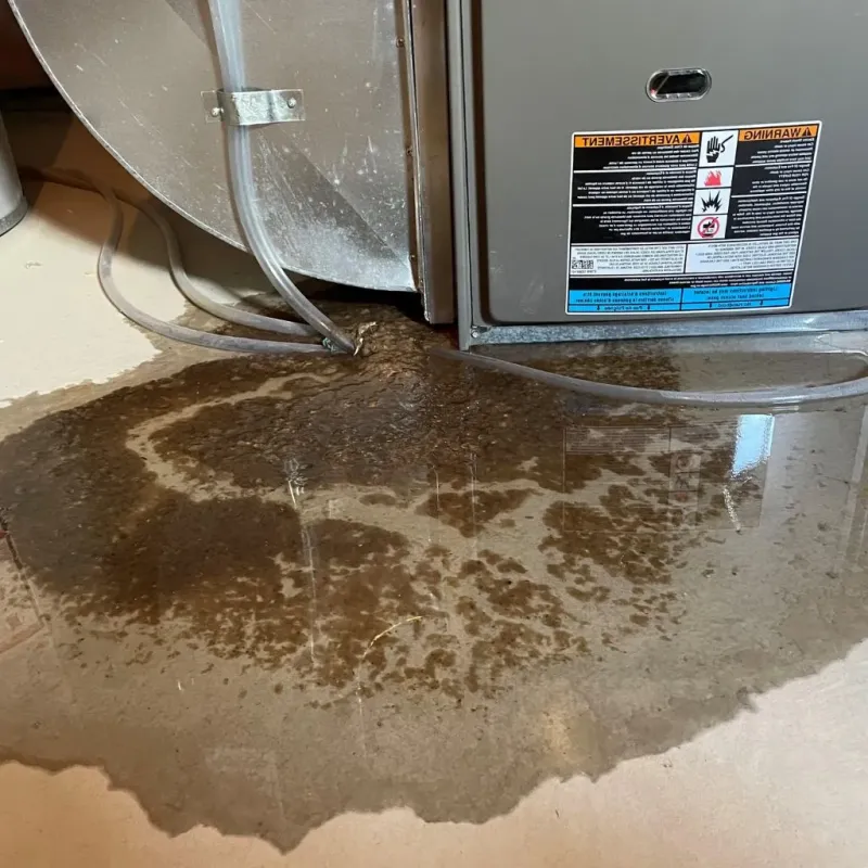 Pipe Burst and Leak Restoration in Goldsboro, NC
