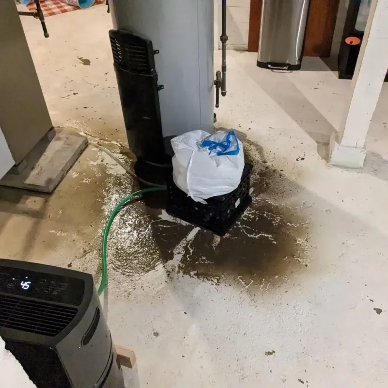 Sewage Backup Cleanup Service in Goldsboro, NC